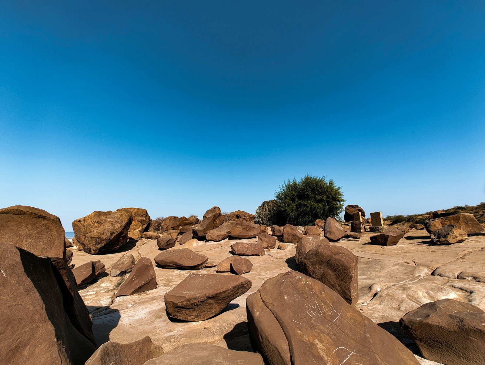 some rocks and a tree on a sunny day