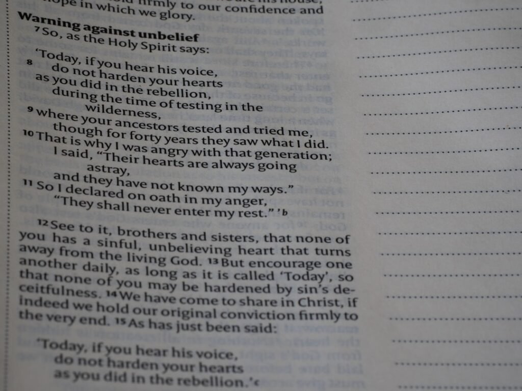 political digital threat charges, a seashell on a beach, representing ambiguous online communication and legal interpretation in global affairs