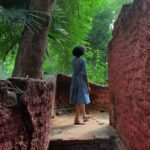 complex societal collapse lessons, ancient Maya city ruins with dense jungle, illustrating systemic vulnerability