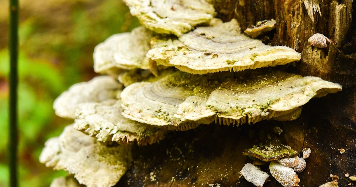 mit breakthrough could transform — MIT Breakthrough Could Transform Robot Training