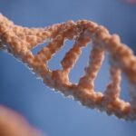 Ancient DNA and AI — History and Culture