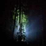 Practical quantum communication setup utilizing the Talbot effect for enhanced security.