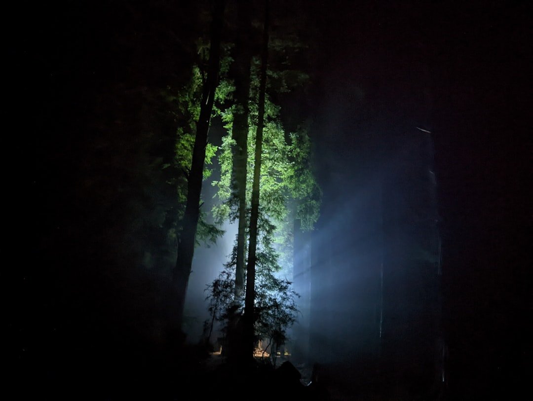 Quantum Computing insights 2026