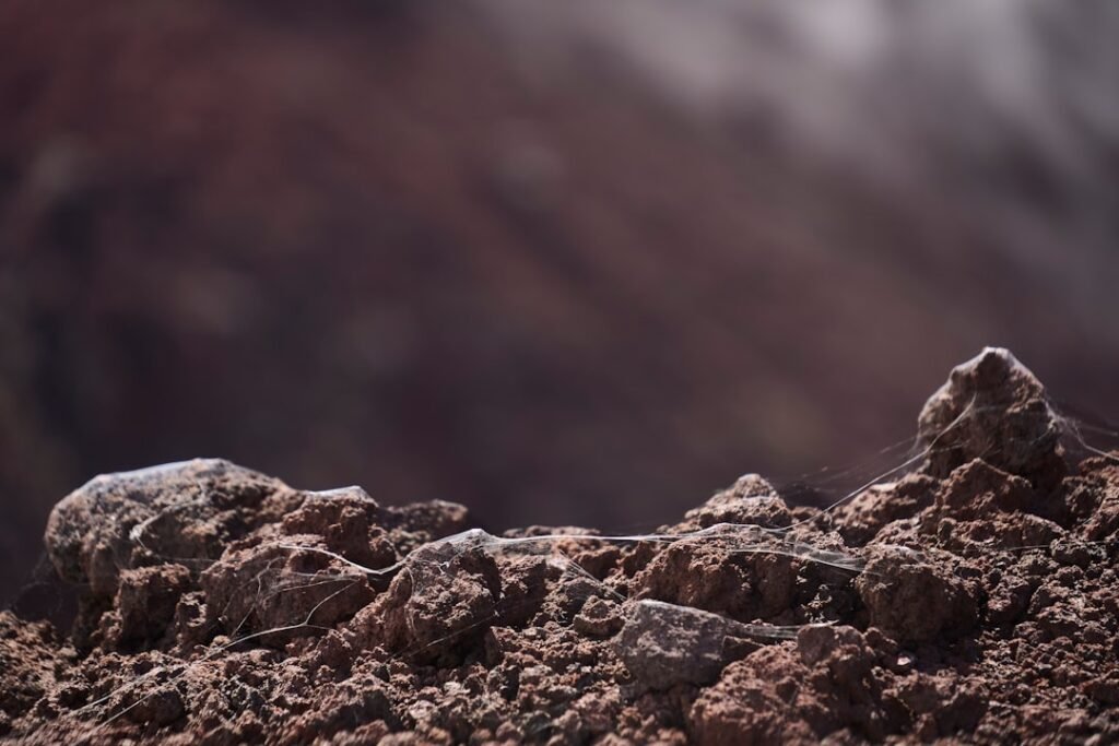 Mars organic molecules discovery by Curiosity rover in ancient Martian rocks