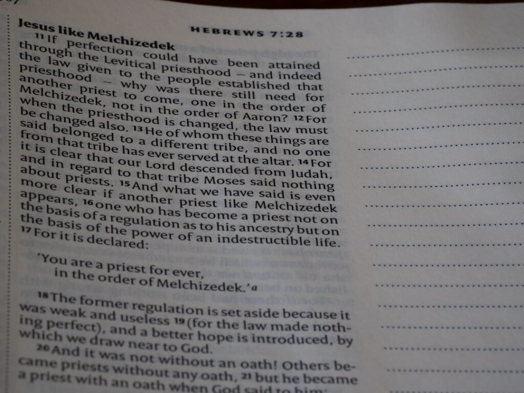 technology redefining nature with human structures merging with natural landscapes