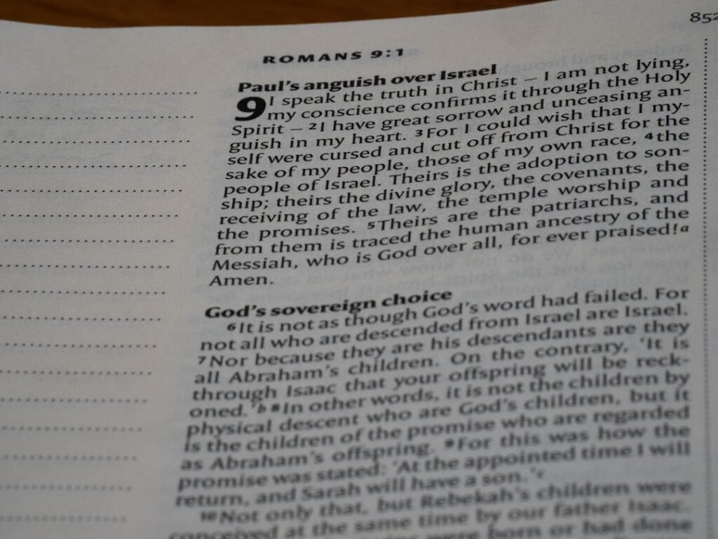 Advanced Web UI Features driving enhanced user engagement