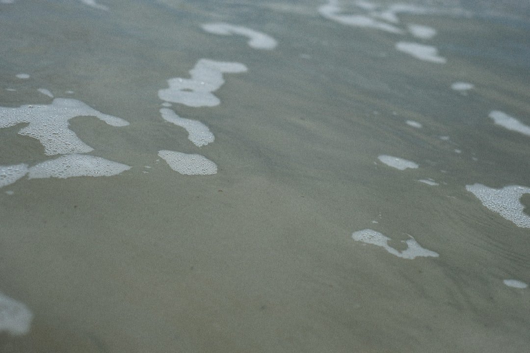 The Download: seafloor science 2026